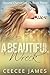 A Beautiful Wreck (Second Chance #3)