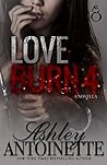 Love Burn 4 Book cover for Love Burn 4