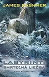 Labyrint by James Dashner