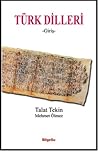 Türk Dilleri : Giriş