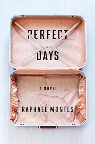 Perfect Days: A Novel