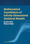 Mathematical Foundations of Infinite-Dimensional Statistical Models