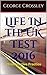 Life In the UK Test 2025: 2...