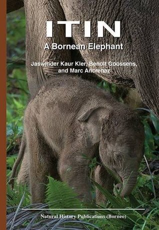 Itin: A Bornean Elephant