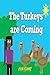 The Turkeys are Coming