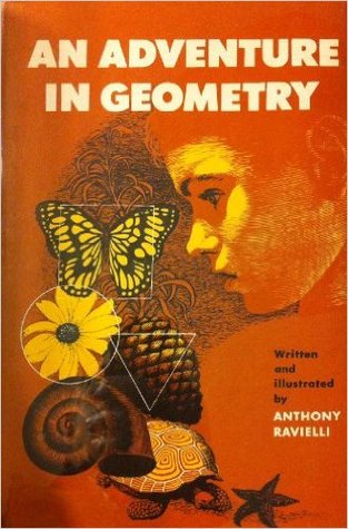 An Adventure in Geometry (Hardcover)