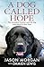 A Dog Called Hope: The woun...