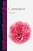 Carnation (Botanical)