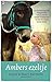Ambers ezeltje