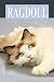 Ragdoll: Meine Traumkatze