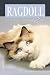 Ragdoll: Meine Traumkatze (German Edition)