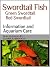 Swordtail Fish (Livebearing...