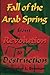 Fall of the Arab Spring: From Revolution to Destruction