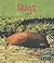 Slugs (Read and Learn)