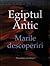 Egiptul antic. Marile descoperiri by Nicholas Reeves