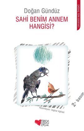 Sahi Benim Annem Hangisi? (Paperback)
