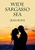 Wide Sargasso Sea by Jean Rhys Wide Sargasso Sea by Jean Rhys