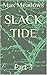 Slack Tide by Max Meadows