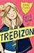 First Term at Trebizon by Anne Digby