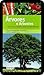 Árvores e Arbustos: Guia Claro e Simples para a sua Identificação