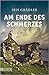 Am Ende des Schmerzes  (DI Collin Brown #2)