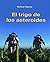 El trigo de los asteroides: El accidentado viaje espacial de un grupo de supervivientes en su regreso a un planeta Tierra desconocido. (Spanish Edition)