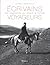 ÉCRIVAINS VOYAGEURS : CES VAGABONDS QUI DISENT LE MONDE