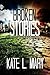 Broken Stories (Broken World, #0.5)