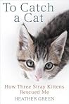 To Catch a Cat by Heather   Green