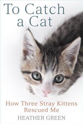 To Catch a Cat: How Three Stray Kittens Rescued Me (Paperback)
