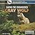 Saving the Endangered Gray Wolf (Conservation of Endangered Species)