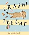 Crash! The Cat by David McPhail