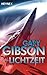 Lichtzeit: Roman (German Edition)