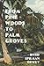 From Pine Woods To Palm Groves by Byrd Spilman Dewey