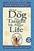 What My Dog Has Taught Me About Life by Gary Stanley