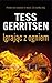 Igrając z ogniem by Tess Gerritsen
