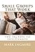 Small Groups That Work by Mark Ingmire