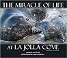 The Miracle of Life at La Jolla Cove by David N. Sattler The Miracle of Life at La Jolla Cove by David N. Sattler