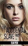 The Accidental Slave: Aya's Story (The Slave Series #1) Book cover for The Accidental Slave: Aya's Story (The Slave Series #1)