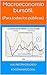 Macroeconomía bursátil.: (Para todos los públicos) (Spanish Edition)