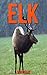 Elk: Children Book of Fun Facts & Amazing Photos on Animals in Nature - A Wonderful Elk Book for Kids aged 3-7