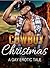 Cowboy Christmas: A Gay Erotic Tale