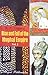 Rise and Fall of the Mughal Empire Vol 2/e PB