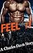 Feel It (Menage Romance, Va...