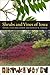 Shrubs and Vines of Iowa (Bur Oak Guide)