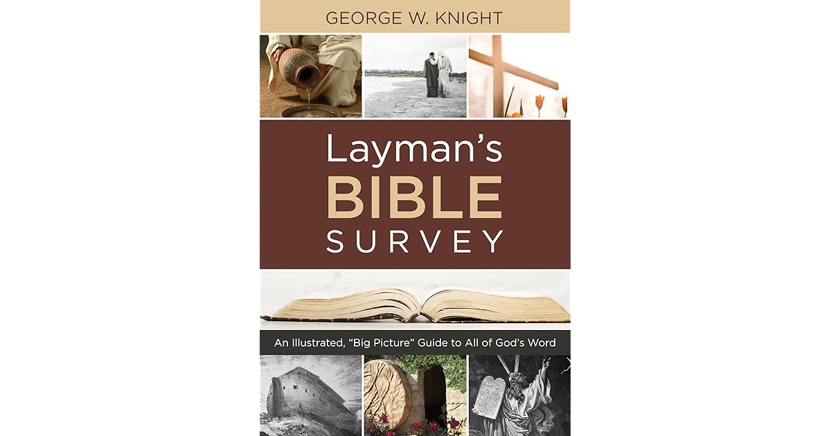 Layman's Bible Survey An Illustrated, "Big Picture" Guide to All of