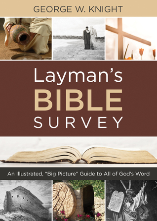 Layman's Bible Survey: An Illustrated "Big Picture" Guide to All of God's Word