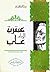 عبقرية الإمام علي by عباس محمود العقاد