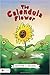 The Calendula Flower