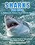Sharks For Kids by Melissa Ackerman